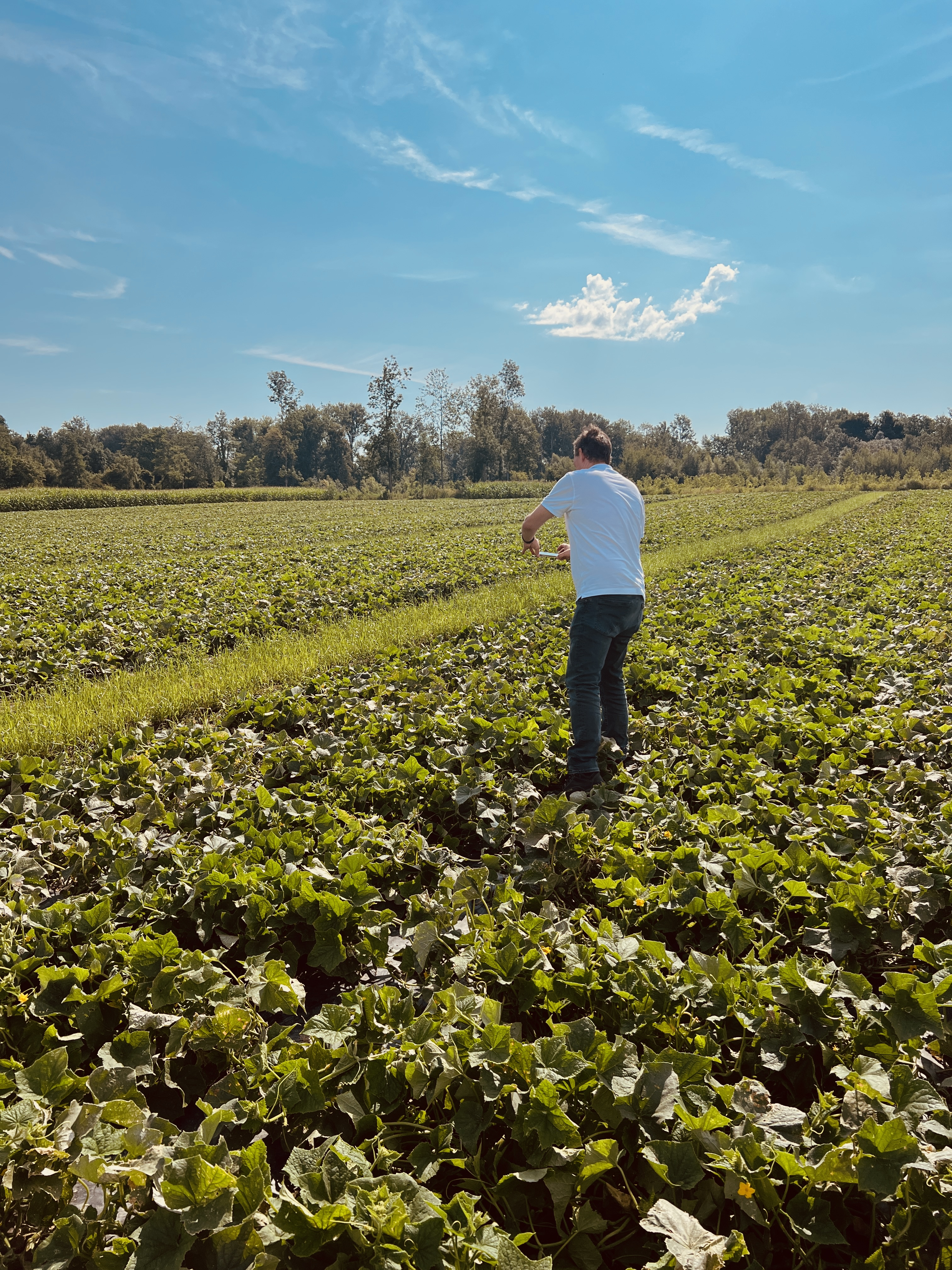 AI Solutions Overview